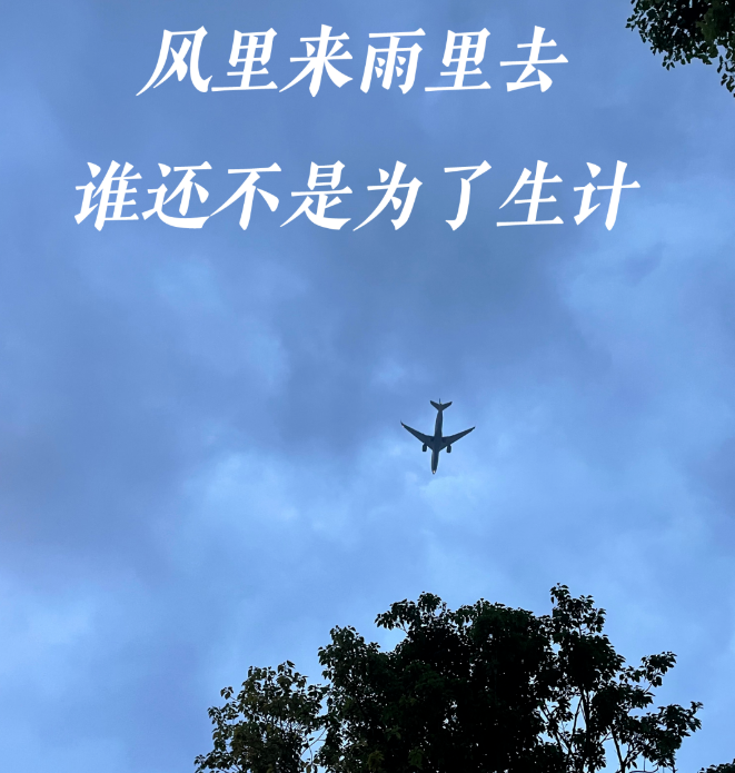 专业深圳新加坡空运的货代——衡安国际货代等你来